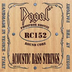 Roundcore Acoustic Bass